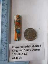 Load image into Gallery viewer, 44.8 ct.(48x11x6.5 mm) Pressed/Stabilized Kingman Spiny Oyster Turquoise Cabochon, Gemstone, 1CQ 037