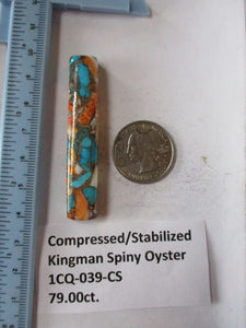 79.0 ct. (61x11x8.5 mm) Pressed/Stabilized Kingman Spiny Oyster Turquoise Cabochon, Gemstone, 1CQ 039
