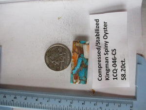 58.2 ct. (36x14x8.5 mm) Pressed/Stabilized Kingman Spiny Oyster Turquoise Cabochon, Gemstone, 1CQ 046
