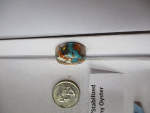52.1 ct. (23 round x 10.5 mm) Pressed/Stabilized Kingman Spiny Oyster Turquoise Cabochon, Gemstone, 1CQ 056