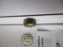 Load image into Gallery viewer, 52.1 ct. (23 round x 10.5 mm) Pressed/Stabilized Kingman Spiny Oyster Turquoise Cabochon, Gemstone, 1CQ 056