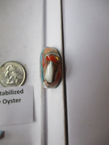 66.2 ct. (29 round x 8 mm) Pressed/Stabilized Kingman Spiny Oyster Turquoise Cabochon, Gemstone, 1CQ 057
