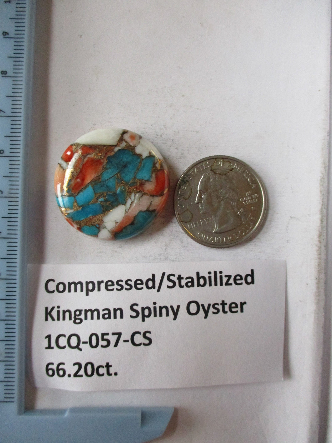 66.2 ct. (29 round x 8 mm) Pressed/Stabilized Kingman Spiny Oyster Turquoise Cabochon, Gemstone, 1CQ 057