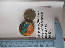 Load image into Gallery viewer, 66.2 ct. (29 round x 8 mm) Pressed/Stabilized Kingman Spiny Oyster Turquoise Cabochon, Gemstone, 1CQ 057