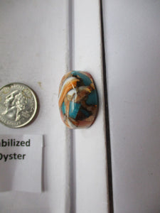 66.2 ct. (26 round x 10 mm) Pressed/Stabilized Kingman Spiny Oyster Turquoise Cabochon, Gemstone, 1CQ 059