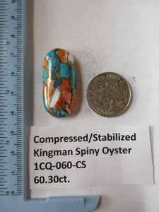 60.3 ct. (37x18x9 mm) Pressed/Stabilized Kingman Spiny Oyster Turquoise Cabochon, Gemstone, 1CQ 060