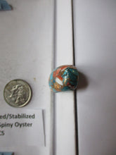 Load image into Gallery viewer, 60.3 ct. (37x18x9 mm) Pressed/Stabilized Kingman Spiny Oyster Turquoise Cabochon, Gemstone, 1CQ 060