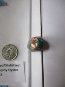 60.3 ct. (37x18x9 mm) Pressed/Stabilized Kingman Spiny Oyster Turquoise Cabochon, Gemstone, 1CQ 060