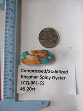 Load image into Gallery viewer, 49.2 ct. (34x16x8.5 mm) Pressed/Stabilized Kingman Spiny Oyster Turquoise Cabochon, Gemstone, # 1CQ 061