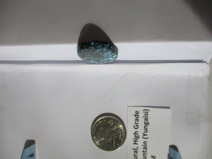 29.3 ct. (30x23x4 mm) 100% Natural High Grade Web Cloud Mountain (Yungaishi) Turquoise Cabochon Gemstone, GO 100