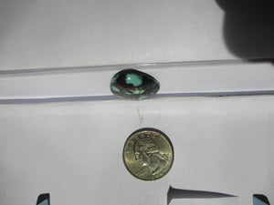 18.7 ct. (25x21x5.5 mm) Stabilized Qingu Mine (Hubei) Turquoise Cabochon, Gemstone, 1DQ 09