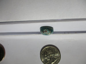 12.4 ct. (16x13x6 mm) 100% Natural Bisbee Turquoise, Cabochon Gemstones, # FZ 073