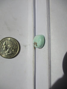 11.4 ct. (21x13x5.5  mm) 100% Natural Rare Grasshopper Turquoise Cabochon Gemstone, # 2AJ 077 s