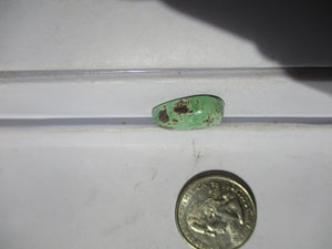 13.5 ct. (20x16x6  mm) 100% Natural Rare Grasshopper Turquoise Cabochon Gemstone, # 2AJ 072 s