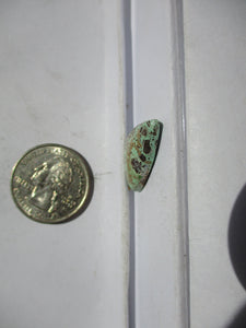 10.7 ct. (24x13.5x5  mm) 100% Natural Rare Grasshopper Turquoise Cabochon Gemstone, # 2AJ 071 s