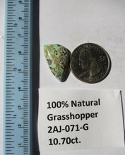 Load image into Gallery viewer, 10.7 ct. (24x13.5x5  mm) 100% Natural Rare Grasshopper Turquoise Cabochon Gemstone, # 2AJ 071 s