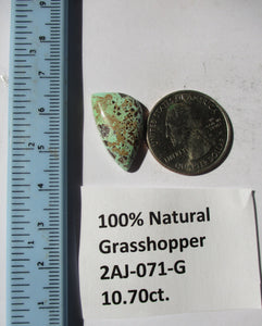 10.7 ct. (24x13.5x5  mm) 100% Natural Rare Grasshopper Turquoise Cabochon Gemstone, # 2AJ 071 s