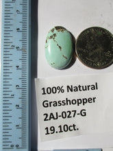 Load image into Gallery viewer, 19.1 ct. (24x15x6  mm) 100% Natural Rare Grasshopper Turquoise Cabochon Gemstone, # 2AJ 027 s