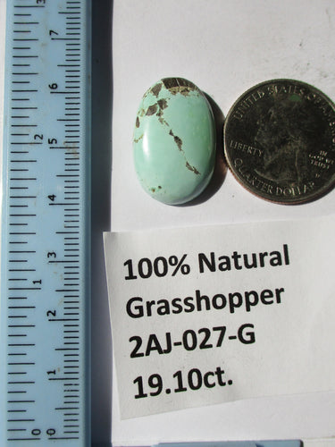 19.1 ct. (24x15x6  mm) 100% Natural Rare Grasshopper Turquoise Cabochon Gemstone, # 2AJ 027 s