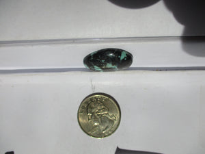 18.7 ct. (25x21x5.5 mm) Stabilized Qingu Mine (Hubei) Turquoise Cabochon, Gemstone, 1DQ 09