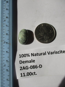 11.0 ct. (18x12x6 mm) 100% Natural Damele Variscite Cabochon Gemstone, # 2AG 086 s