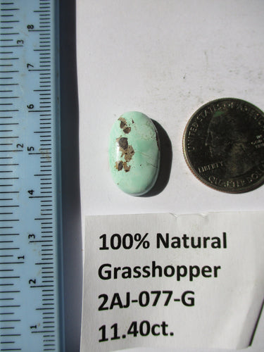 11.4 ct. (21x13x5.5  mm) 100% Natural Rare Grasshopper Turquoise Cabochon Gemstone, # 2AJ 077 s