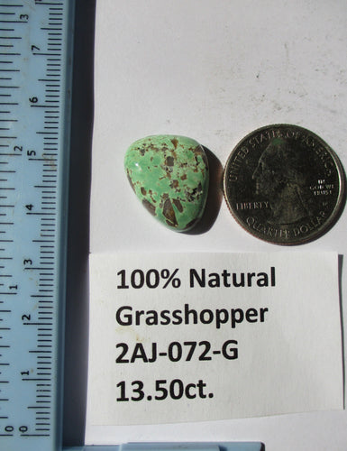 13.5 ct. (20x16x6  mm) 100% Natural Rare Grasshopper Turquoise Cabochon Gemstone, # 2AJ 072 s