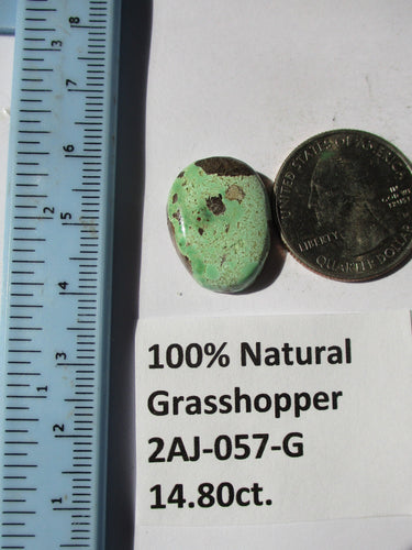 14.8 ct. (21x16x5.5  mm) 100% Natural Rare Grasshopper Turquoise Cabochon Gemstone, # 2AJ 057 s