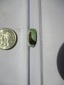 14.8 ct. (21x16x5.5  mm) 100% Natural Rare Grasshopper Turquoise Cabochon Gemstone, # 2AJ 057 s