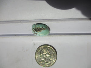 19.1 ct. (24x15x6  mm) 100% Natural Rare Grasshopper Turquoise Cabochon Gemstone, # 2AJ 027 s