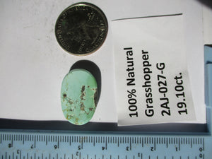 19.1 ct. (24x15x6  mm) 100% Natural Rare Grasshopper Turquoise Cabochon Gemstone, # 2AJ 027 s