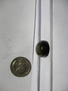 28.2 ct. (22.5x18x9 mm) Stabilized Qingu Mine (Hubei) Turquoise Cabochon Gemstone, 1CV 049