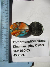 Load image into Gallery viewer, 45.2 ct. (30x23x7 mm) Pressed/Stabilized Kingman Spiny Oyster Turquoise Cabochon, Gemstone, 1CV 060