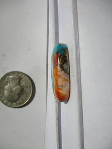 45.3 ct. (34x17x7.5 mm) Pressed/Stabilized Kingman Spiny Oyster Turquoise Cabochon, Gemstone, 1CV 061