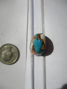 45.3 ct. (34x17x7.5 mm) Pressed/Stabilized Kingman Spiny Oyster Turquoise Cabochon, Gemstone, 1CV 061