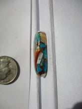Load image into Gallery viewer, 45.3 ct. (34x17x7.5 mm) Pressed/Stabilized Kingman Spiny Oyster Turquoise Cabochon, Gemstone, 1CV 061