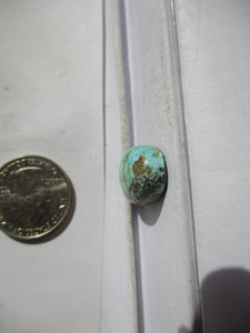 16.3 ct. (19x15x7 mm) Natural Rare Thunder Mountain Turquoise Cabochon, Gemstone GQ 019