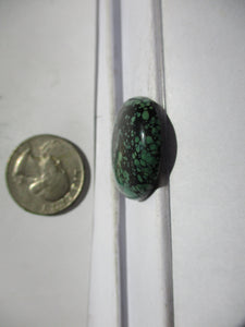 29.3 ct. (28x24x6 mm) Stabilized Qingu Mine (Hubei) Turquoise Cabochon Gemstone, 1CV 037