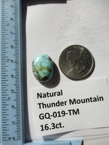16.3 ct. (19x15x7 mm) Natural Rare Thunder Mountain Turquoise Cabochon, Gemstone GQ 019