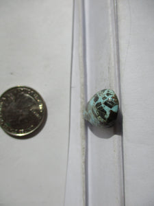 13.6 ct. (28x13.5x5 mm) Natural Rare Thunder Mountain Turquoise Cabochon, Gemstone GQ 025