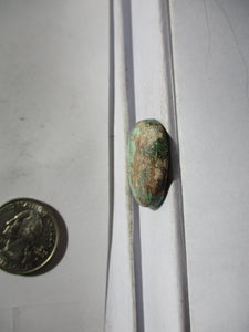 22.4 ct. (24 round x 5 mm) 100% Natural Rare Grasshopper Turquoise Cabochon Gemstone, # 2AB 014 s