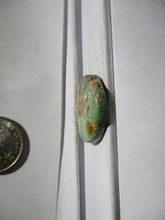 Load image into Gallery viewer, 22.4 ct. (24 round x 5 mm) 100% Natural Rare Grasshopper Turquoise Cabochon Gemstone, # 2AB 014 s