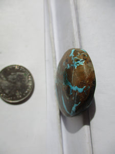 63.5 ct. (36x30x6.5 mm) 100% Natural Sierra Nevada Turquoise Cabochon Gemstone, # HG 12