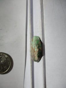 22.4 ct. (24 round x 5 mm) 100% Natural Rare Grasshopper Turquoise Cabochon Gemstone, # 2AB 014 s