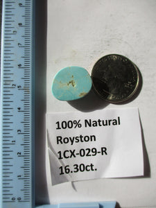 16.3 ct. (19x15x7 mm) 100% Natural Royston Turquoise Cabochon Gemstone, # 1CX 029