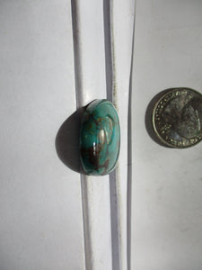 48.8 ct. (31x26x7 mm) Stabilized Kingman Turquoise  Gemstone, 1DB 004