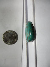 Load image into Gallery viewer, 48.8 ct. (31x26x7 mm) Stabilized Kingman Turquoise  Gemstone, 1DB 004