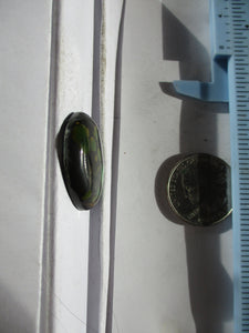 30.0 ct. (28x22x6 mm) Stabilized Qingu Mine (Hubei) Turquoise Cabochon, Gemstone, 1CY 042