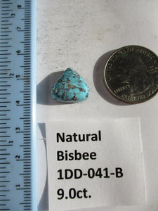 9.0 ct. (14x15x6 mm) Natural Bisbee Turquoise Cabochon Gemstone, 1DD 041