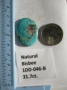 31.7 ct. (32x24x5 mm) Natural Bisbee Turquoise Cabochon Gemstone, 1DD 046